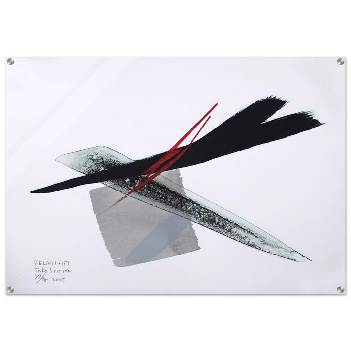 Relativity - 2005 - Toko Shinoda Acrylic Print - 70x100 cm / 28x40″ inches