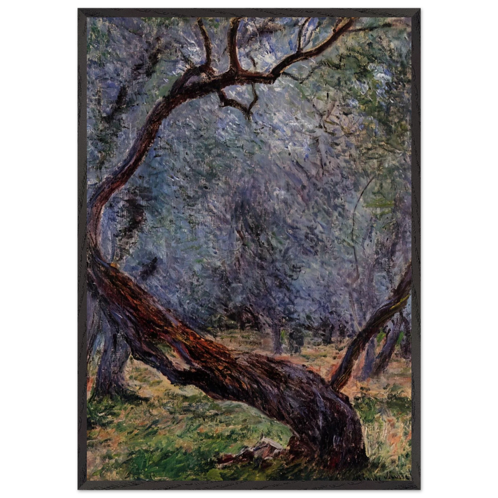 Olive Trees Study - claude monet 70x100 cm / 28x40 inches Framed Art Print – Black Wooden Frame