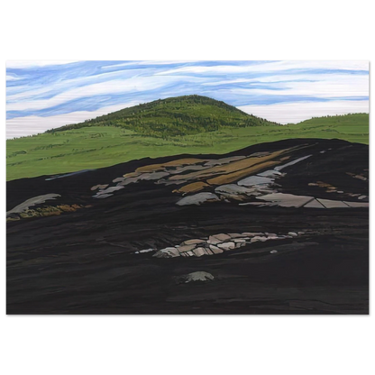 Blueberry Burn Morey's Hill - 1997 - Neil Welliver Brushed Aluminum Print - 70x100 cm / 28x40 inches | Neil Welliver Aluminum Print | Neil Welliver Prints