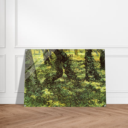 Trunks of Trees with Ivy - Vincent van Gogh Acrylic Print - 70x100 cm / 28x40″ inches | Vincent van Gogh Wall Art | Vincent van Gogh Prints