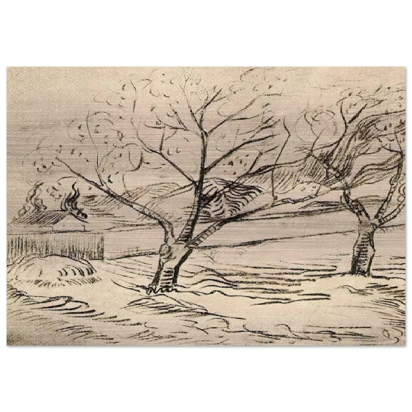 Two Trees - Vincent van Gogh Brushed Aluminum Print - 70x100 cm / 28x40 inches | Vincent van Gogh Aluminum Print | Vincent van Gogh Prints