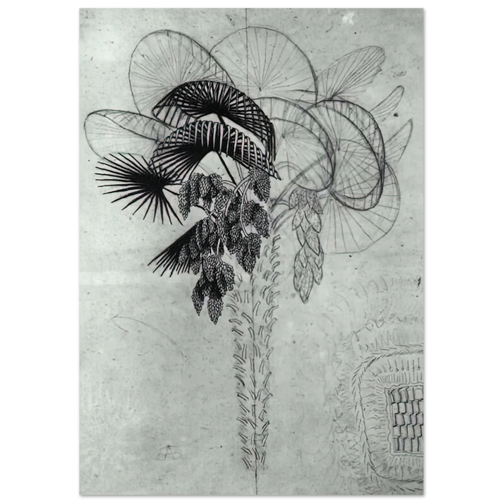 MC Escher - PALM TREE SKETCH Wall Art - 60x80 cm / 24x32 inches - Premium Wooden Framed Poster With Fine Art Paper - Black frame