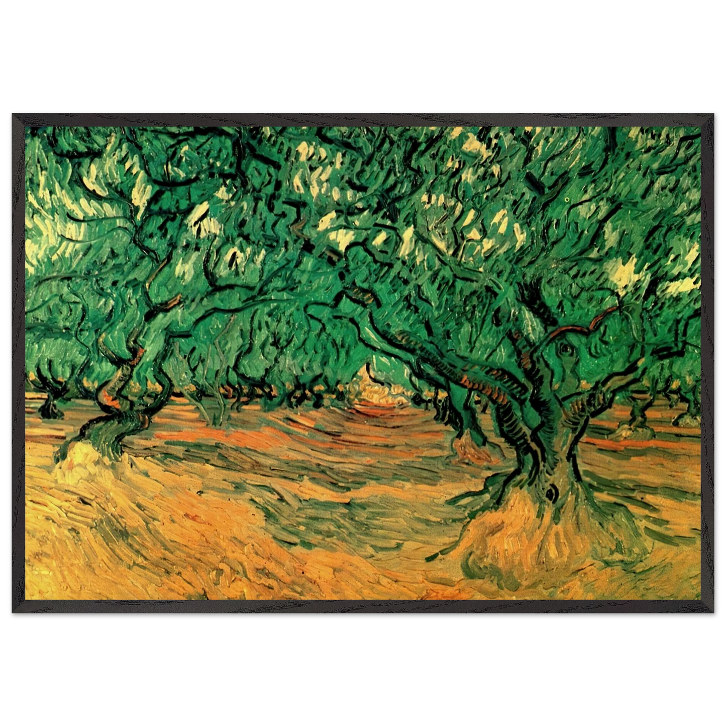 Olive Trees - Vincent van Gogh 70x100 cm / 28x40 inches Framed Art Print – Black Wooden Frame