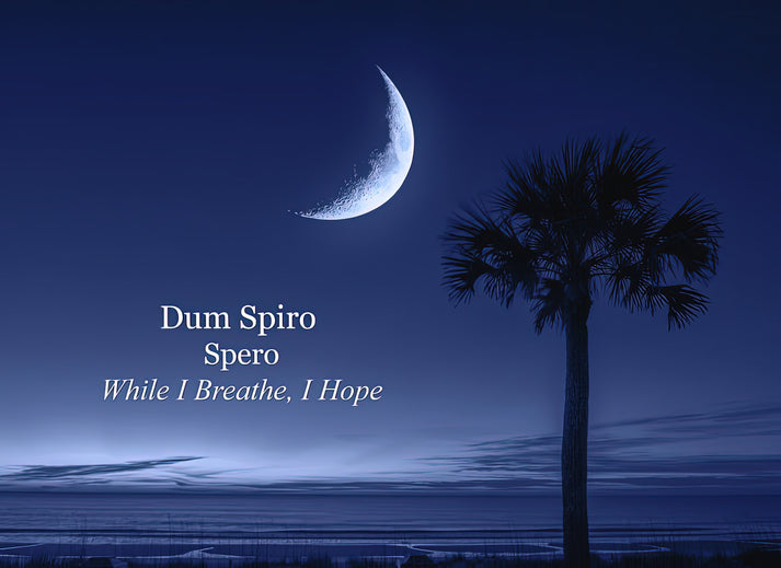 Dum Spiro Spero Meaning Art Print | Latin Motto Fine Art Print | RedKalion