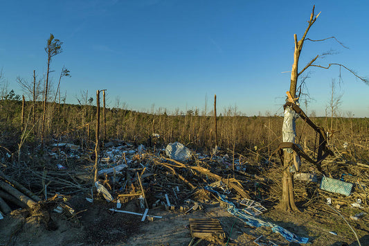 EF4 Tree Damage Art Print | Museum-Quality Fine Art Print | RedKalion
