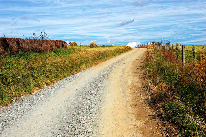 Farm Road Fine Art Print | Country Landscape Painting | RedKalion
