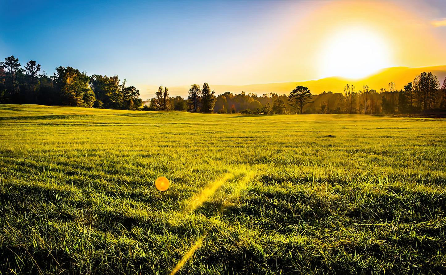 Farm Sunset Art Print | Premium Fine Art Reproduction | RedKalion