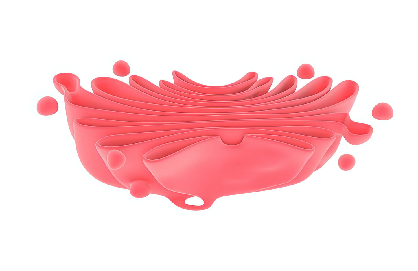 Golgi Apparatus Picture: Premium Fine Art Print | RedKalion