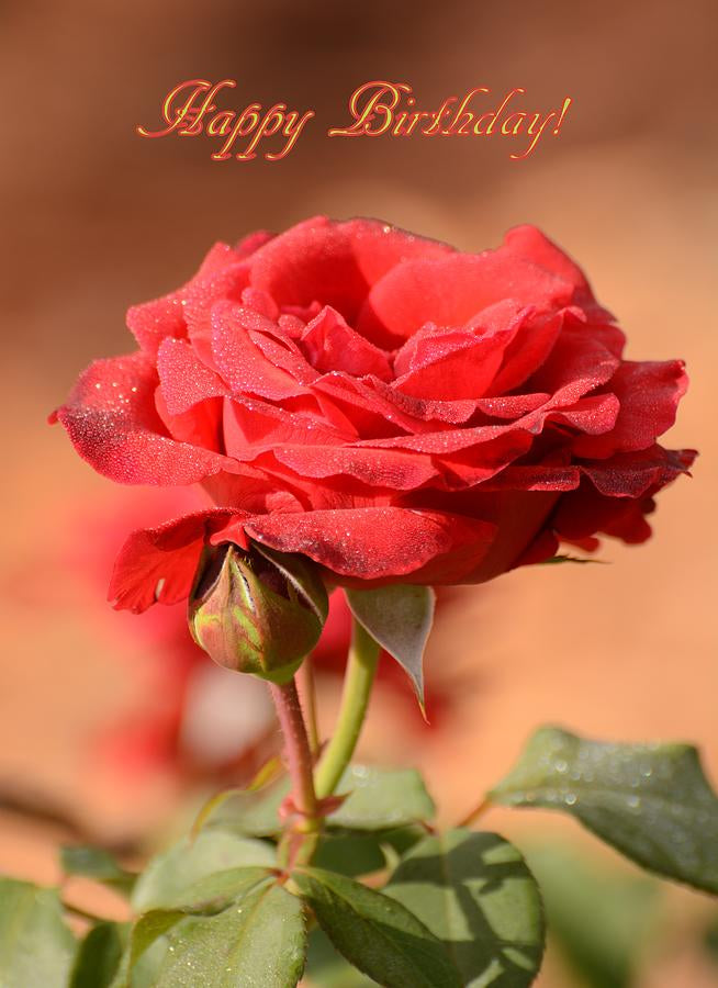 Happy Birthday Rose Fine Art Print | RedKalion