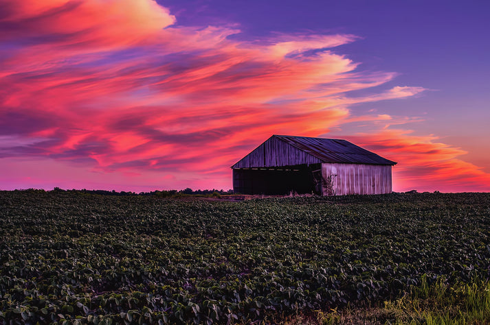 Indiana Sunset Art Print | Premium Fine Art Print | RedKalion