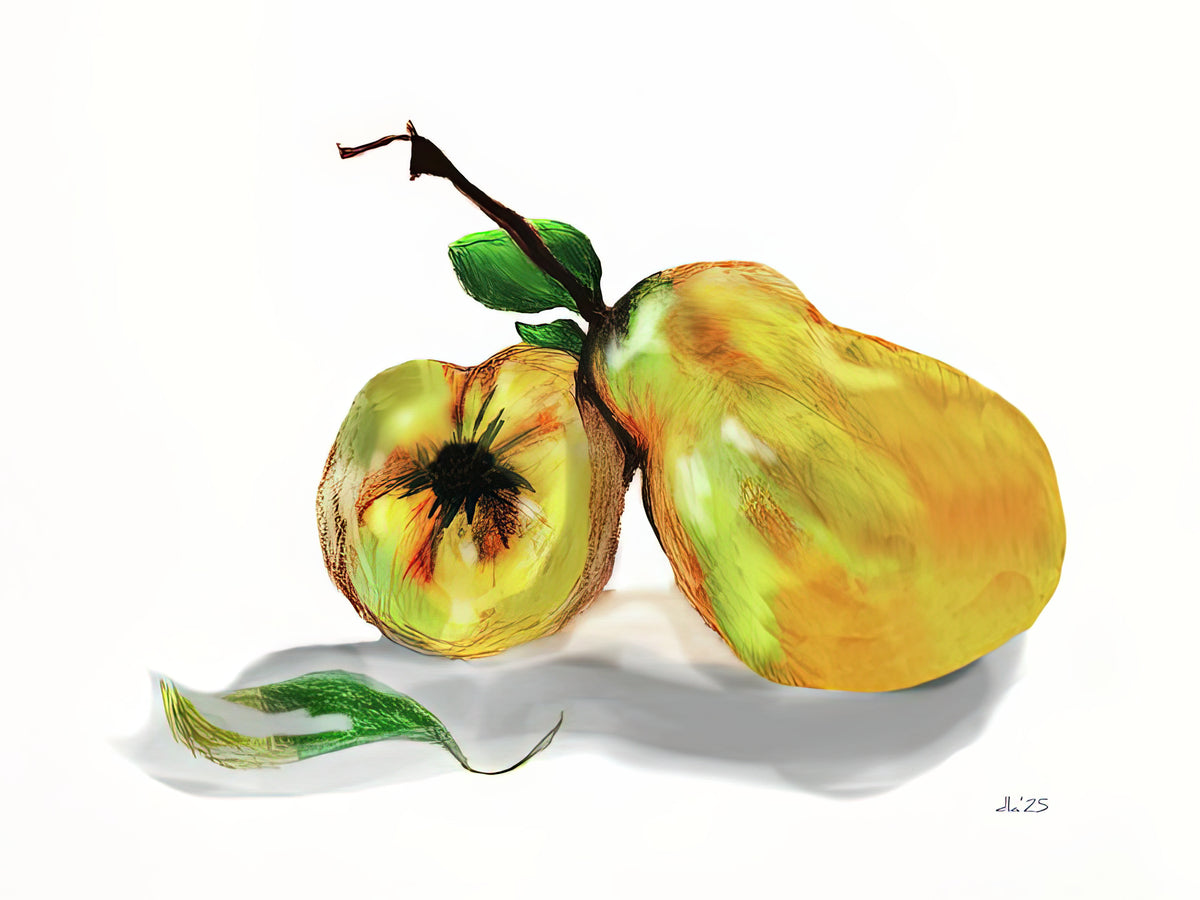 Quince Drawing Art Print | Fine Art Print | RedKalion