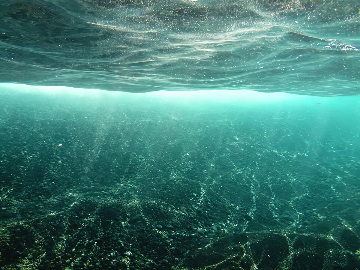 Underwater Sunlight #1 Fine Art Print | RedKalion