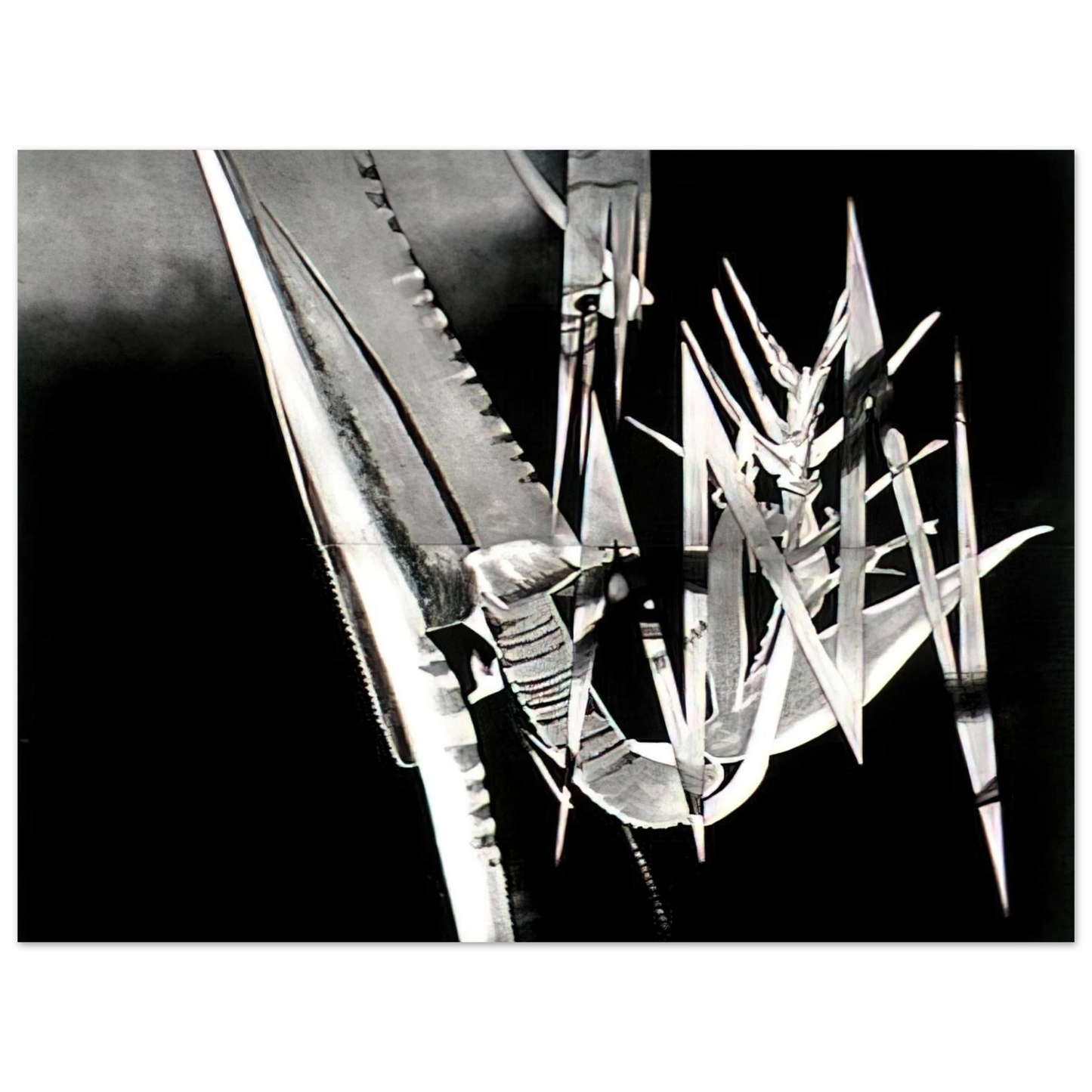 James Rosenquist - The Prickly Dark  75x100 cm / 30x40inches Fine Art Poster