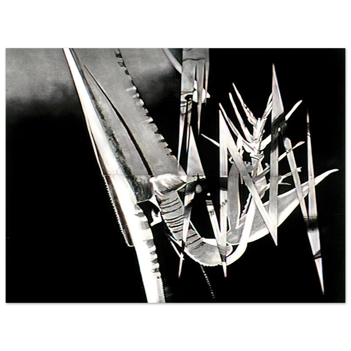 James Rosenquist - The Prickly Dark  75x100 cm / 30x40inches Fine Art Poster