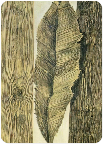 Leaf customs By Max Ernst Pack of 10 Post Cards | Max Ernst Post Cards | A6 (10.5 x 14.8 cm) - 4.1 x 5.8 inches