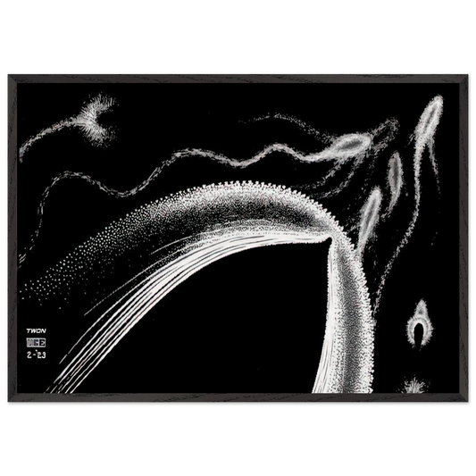 DOLPHINS - MC Escher 70x100 cm / 28x40 inches Framed Art Print – Black Wooden Frame | Maurits Cornelis Escher Prints