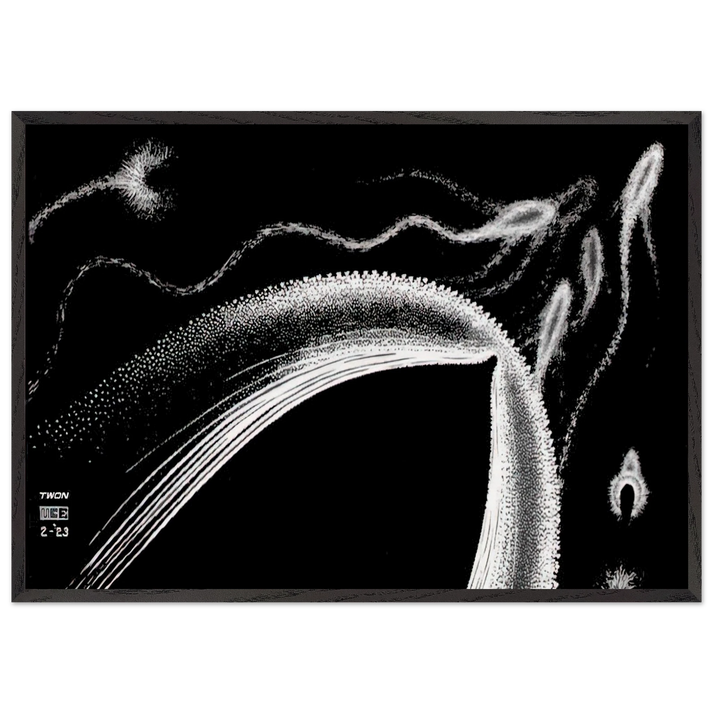 DOLPHINS - MC Escher 70x100 cm / 28x40 inches Framed Art Print – Black Wooden Frame | Maurits Cornelis Escher Prints