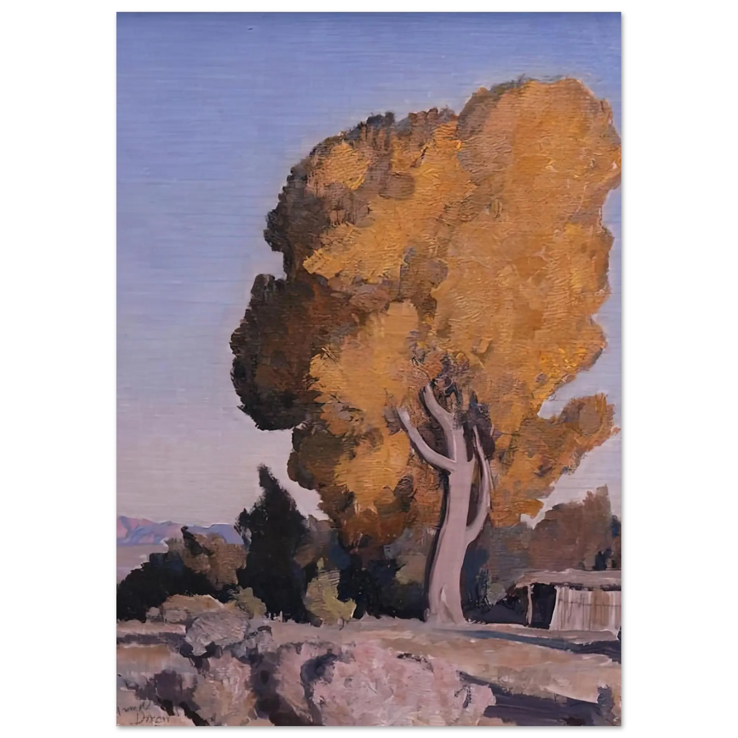 Maynard Dixon - LOW COUNTRY COTTONWOOD 1940 Wall art - 28x43  cm / XL (11x17 Inches) - Premium Wooden Framed Poster With Fine Art Paper - White frame