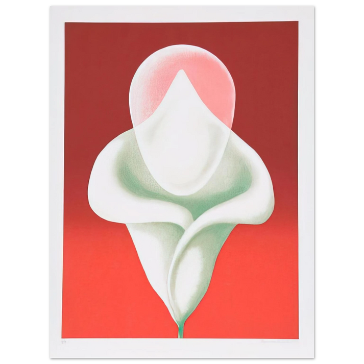 Clarence Holbrook Carter - Abstract Tulip - 1979  75x100 cm / 30x40inches Fine Art Poster