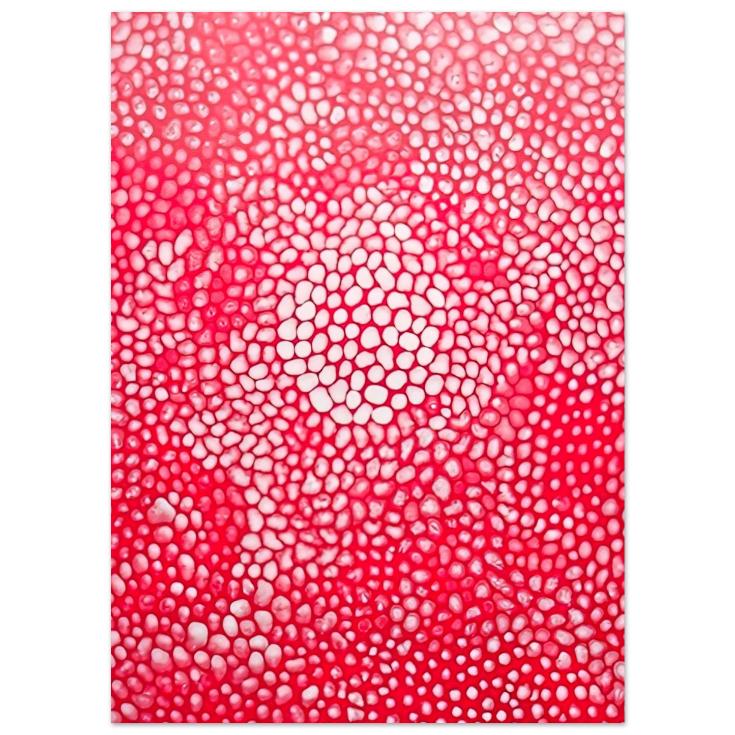 Yayoi Kusama - SUNLIGHT 1998 Fine Art Poster