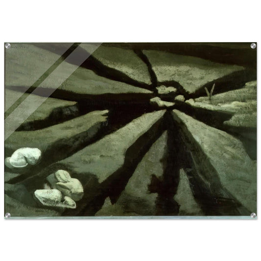 Tierra Y Excrementos - 1932 - Maruja Mallo Acrylic Print - 70x100 cm / 28x40″ inches