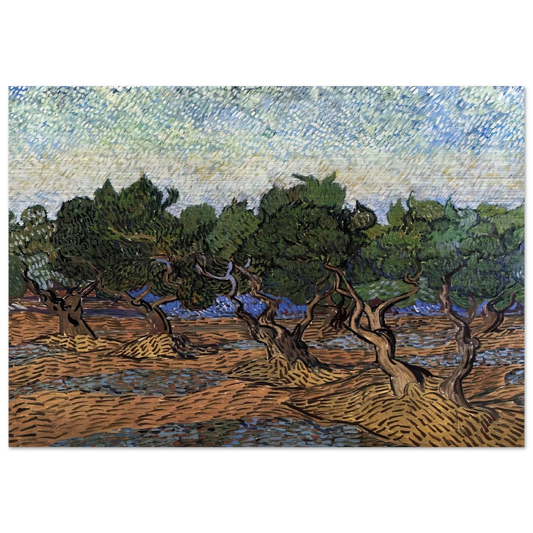 Olive Grove - Vincent van Gogh Brushed Aluminum Print - 70x100 cm / 28x40 inches | Vincent van Gogh Aluminum Print | Vincent van Gogh Prints