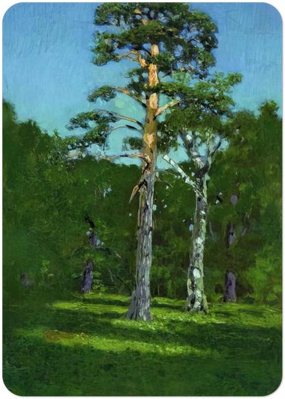 Pine By Arkhyp Kuindzhi Pack of 10 Post Cards | Arkhyp Kuindzhi Post Cards | A6 (10.5 x 14.8 cm) - 4.1 x 5.8 inches