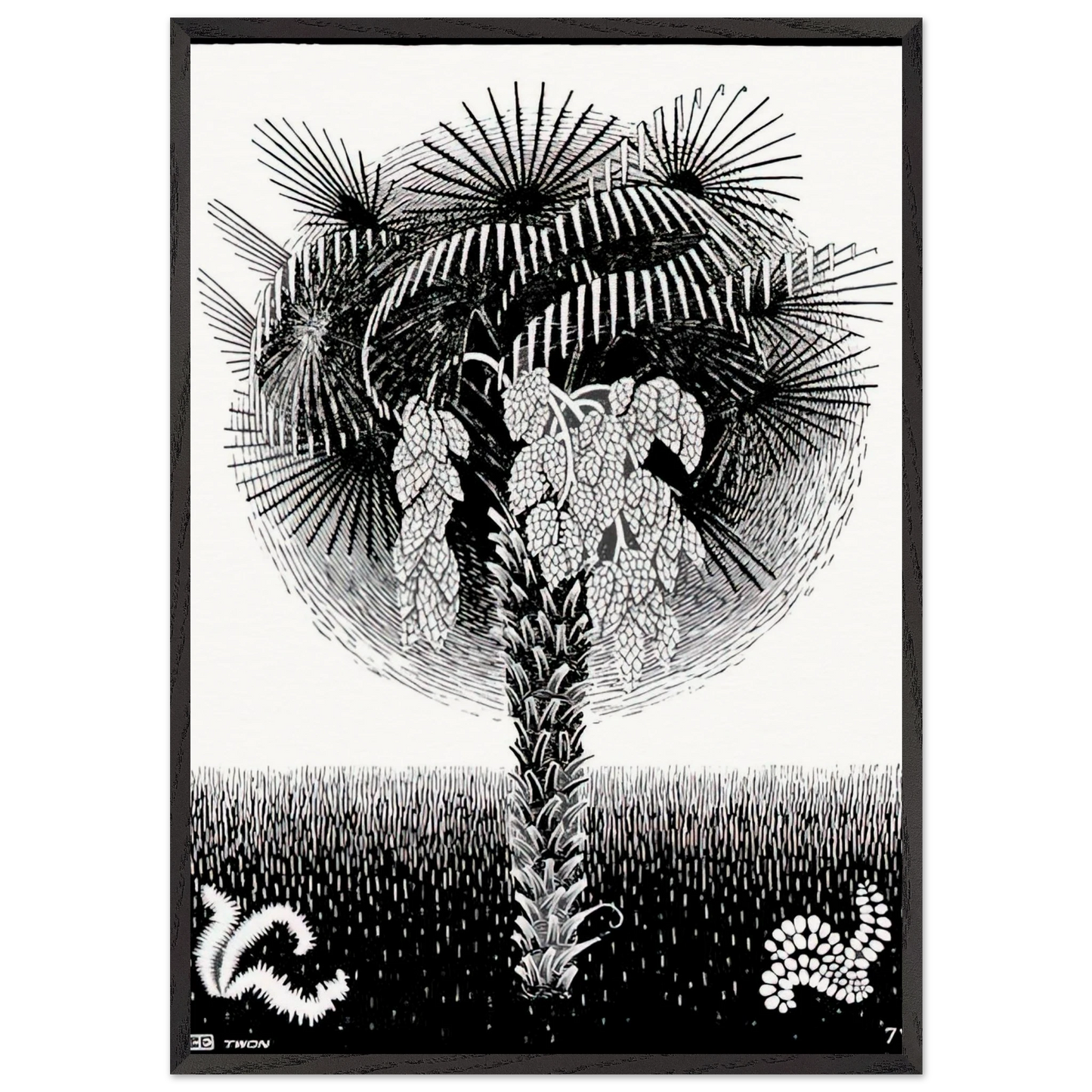 PALM TREE - MC Escher 70x100 cm / 28x40 inches Framed Art Print – Black Wooden Frame | Maurits Cornelis Escher Prints