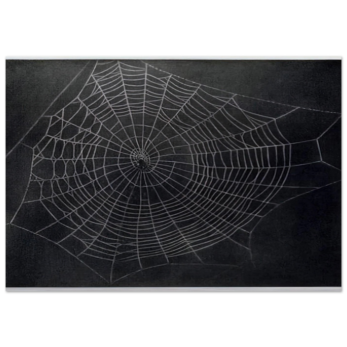 UNTITLED SPIDER WEB 2000 - Vija Celmins Brushed Aluminum Print - 70x100 cm / 28x40 inches | Vija Celmins Aluminum Print | Vija Celmins Prints