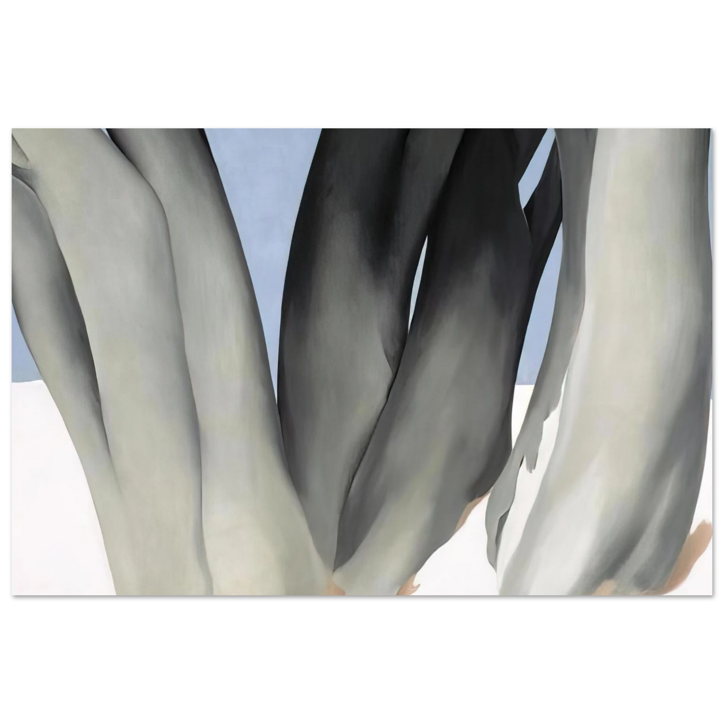 Georgia O'Keeffe - Bare Tree Trunks with Snow Fine Art Poster