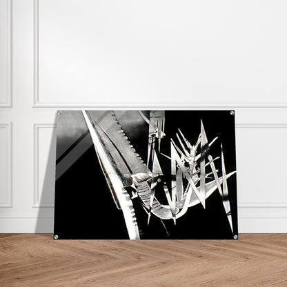 The Prickly Dark - James Rosenquist Acrylic Print - 70x100 cm / 28x40″ inches