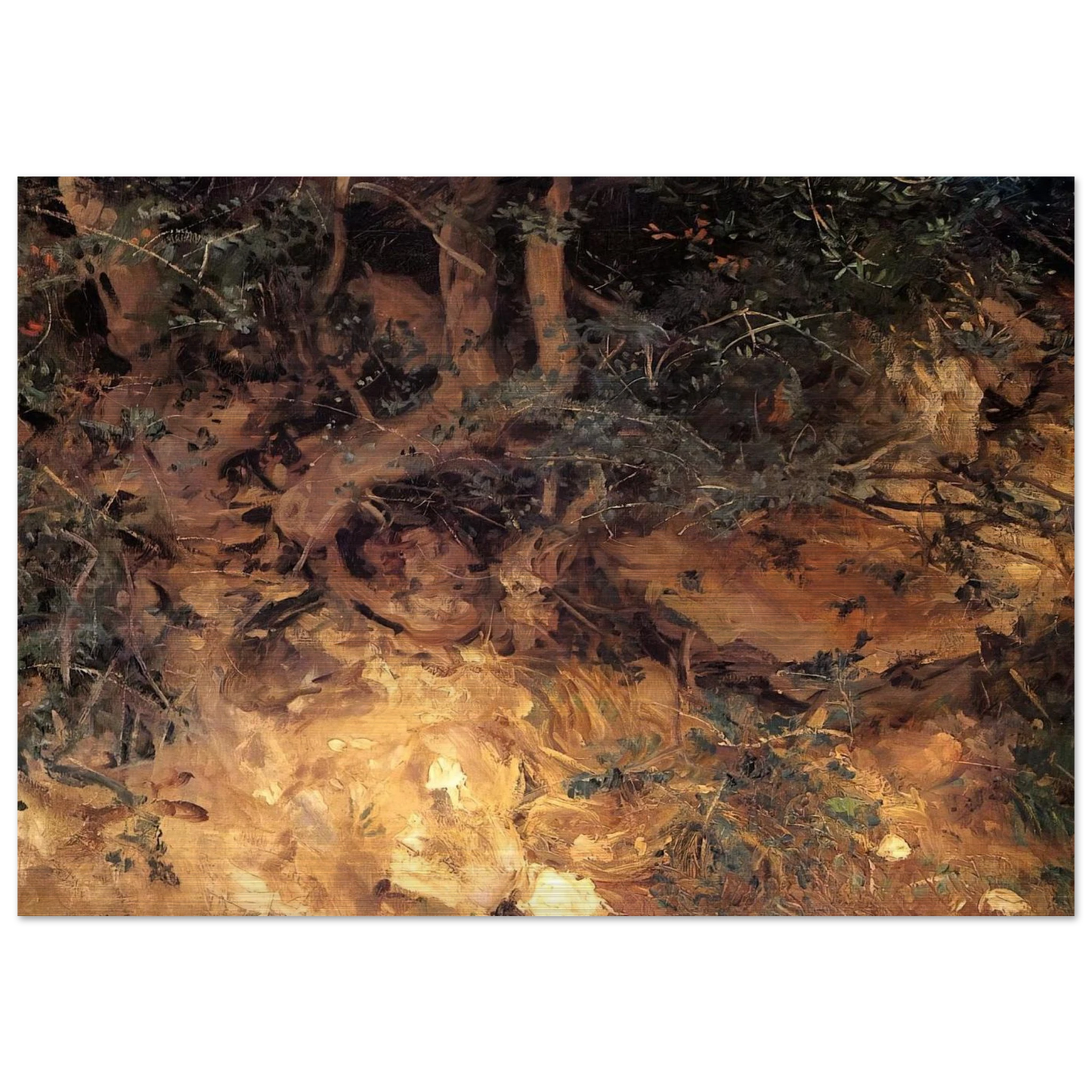 Valdemosa, Majorca Thistles and Herbage on a Hillside - John Singer Sargent Brushed Aluminum Print - 70x100 cm / 28x40 inches | John Singer Sargent Aluminum Print | John Singer Sargent Prints