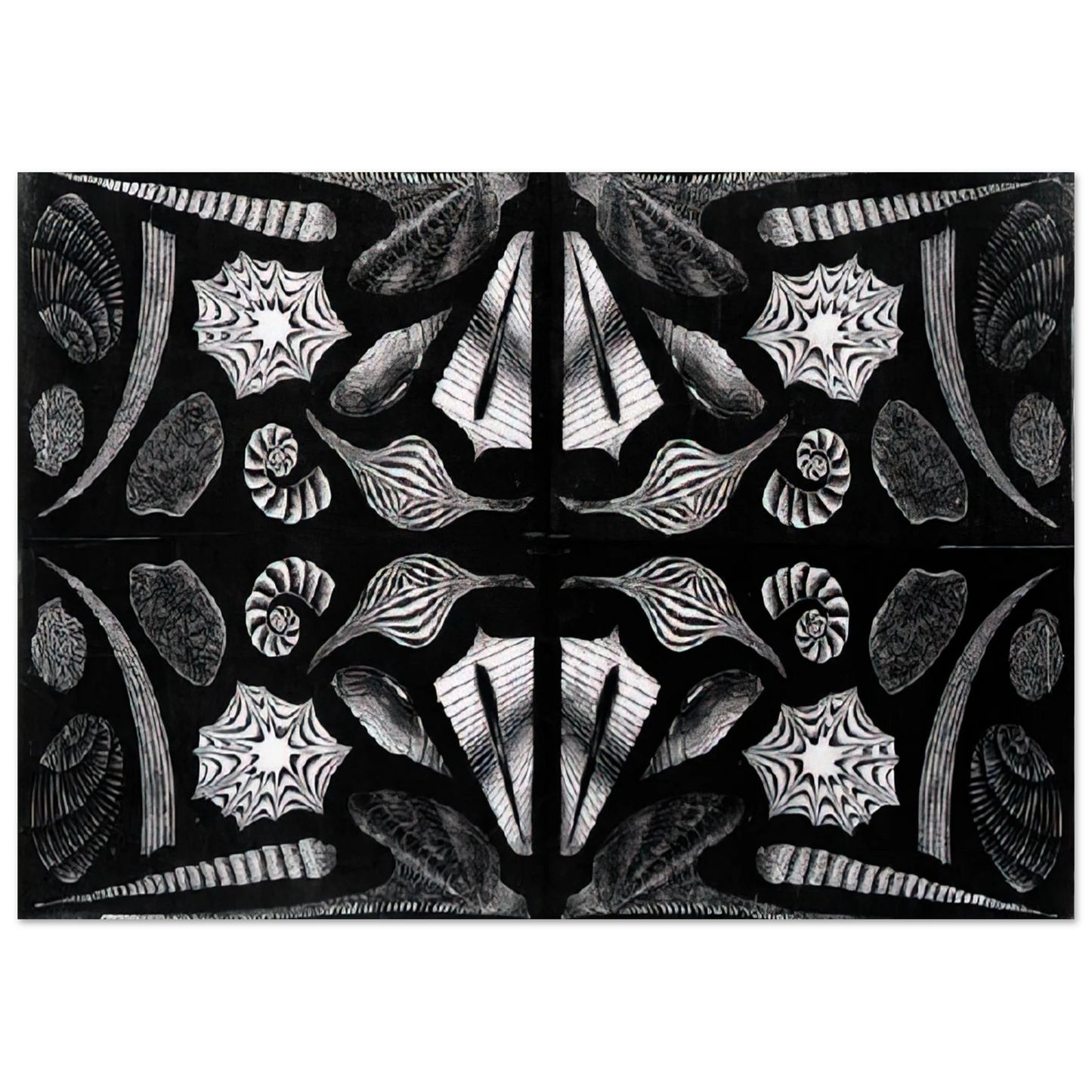 MC Escher - ESCHER (5) Wall Art - 60x80 cm / 24x32 inches - Premium Wooden Framed Poster With Fine Art Paper-canvas - White frame