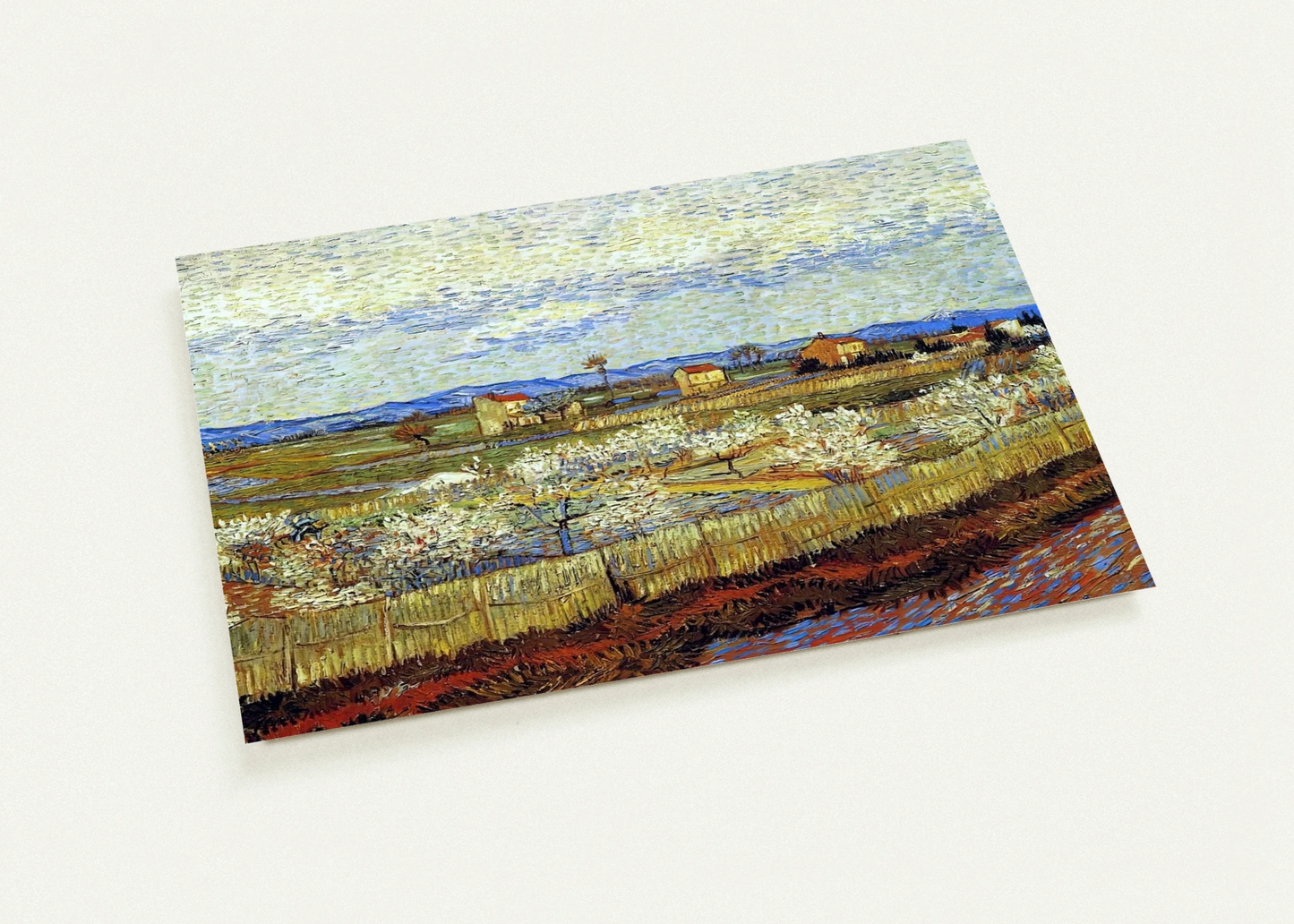 Peach Trees in Blossom By Vincent van Gogh Pack of 10 Post Cards | Vincent van Gogh Post Cards | A6 (10.5 x 14.8 cm) - 4.1 x 5.8 inches