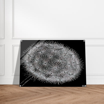 BLOWBALL II - MC Escher Acrylic Print - 70x100 cm / 28x40″ inches | Maurits Cornelis Escher Prints