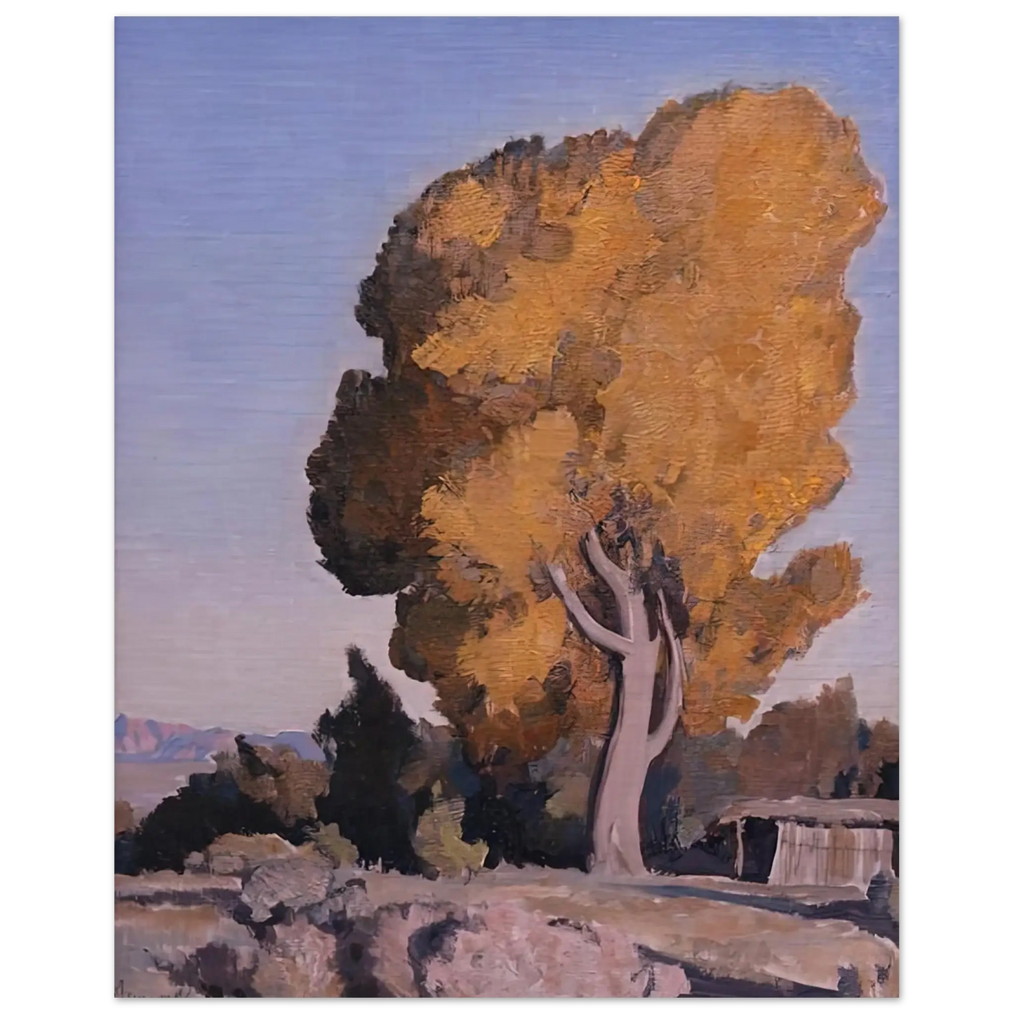 Maynard Dixon - LOW COUNTRY COTTONWOOD 1940 Wall art - 28x43  cm / XL (11x17 Inches) - Premium Wooden Framed Poster With Fine Art Paper - Wood frame
