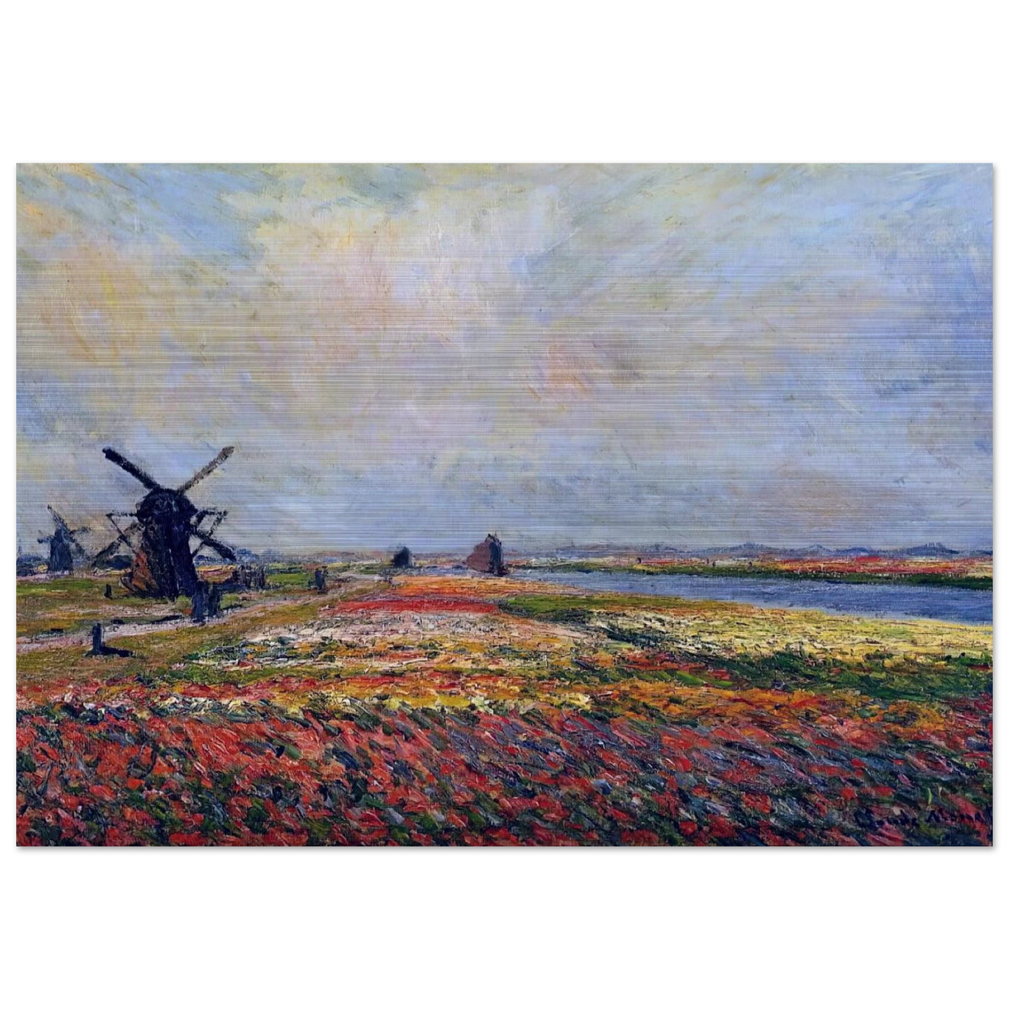 Fields of Flowers and Windmills near Leiden - claude monet Brushed Aluminum Print - 70x100 cm / 28x40 inches | claude monet Aluminum Print | claude monet Prints
