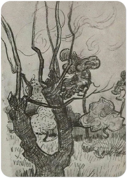 A Bare Treetop in the Garden of the Asylum By Vincent van Gogh Pack of 10 Post Cards | Vincent van Gogh Post Cards | A6 (10.5 x 14.8 cm) - 4.1 x 5.8 inches