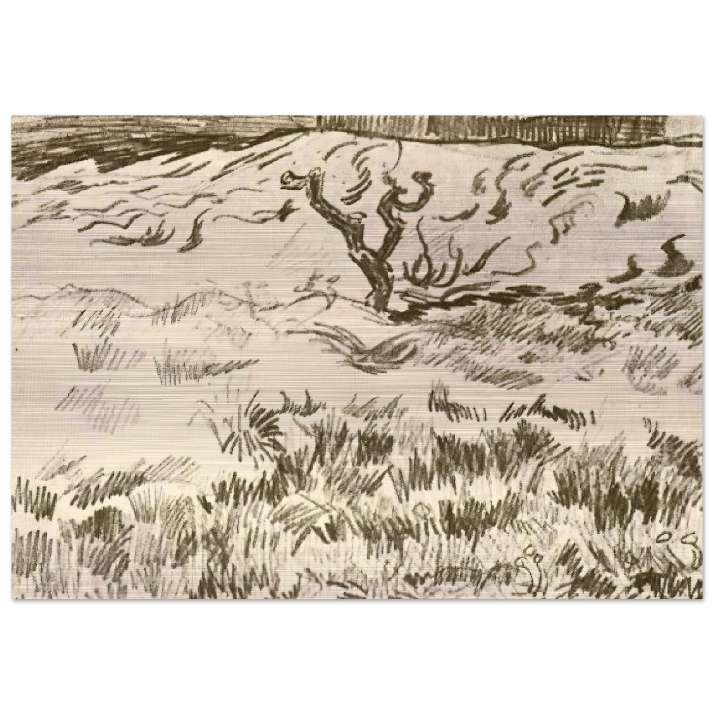 Field with Bare Tree - Vincent van Gogh Brushed Aluminum Print - 70x100 cm / 28x40 inches | Vincent van Gogh Aluminum Print | Vincent van Gogh Prints