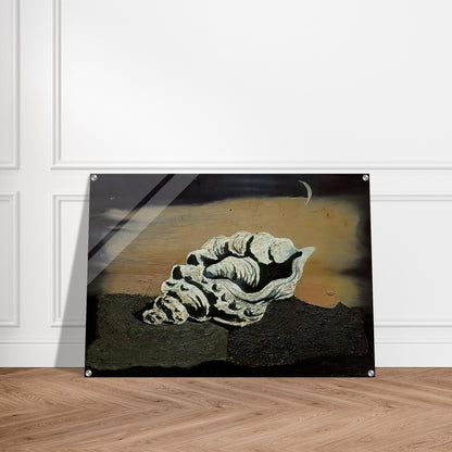 SHELL - Salvador Dali Acrylic Print - 70x100 cm / 28x40″ inches