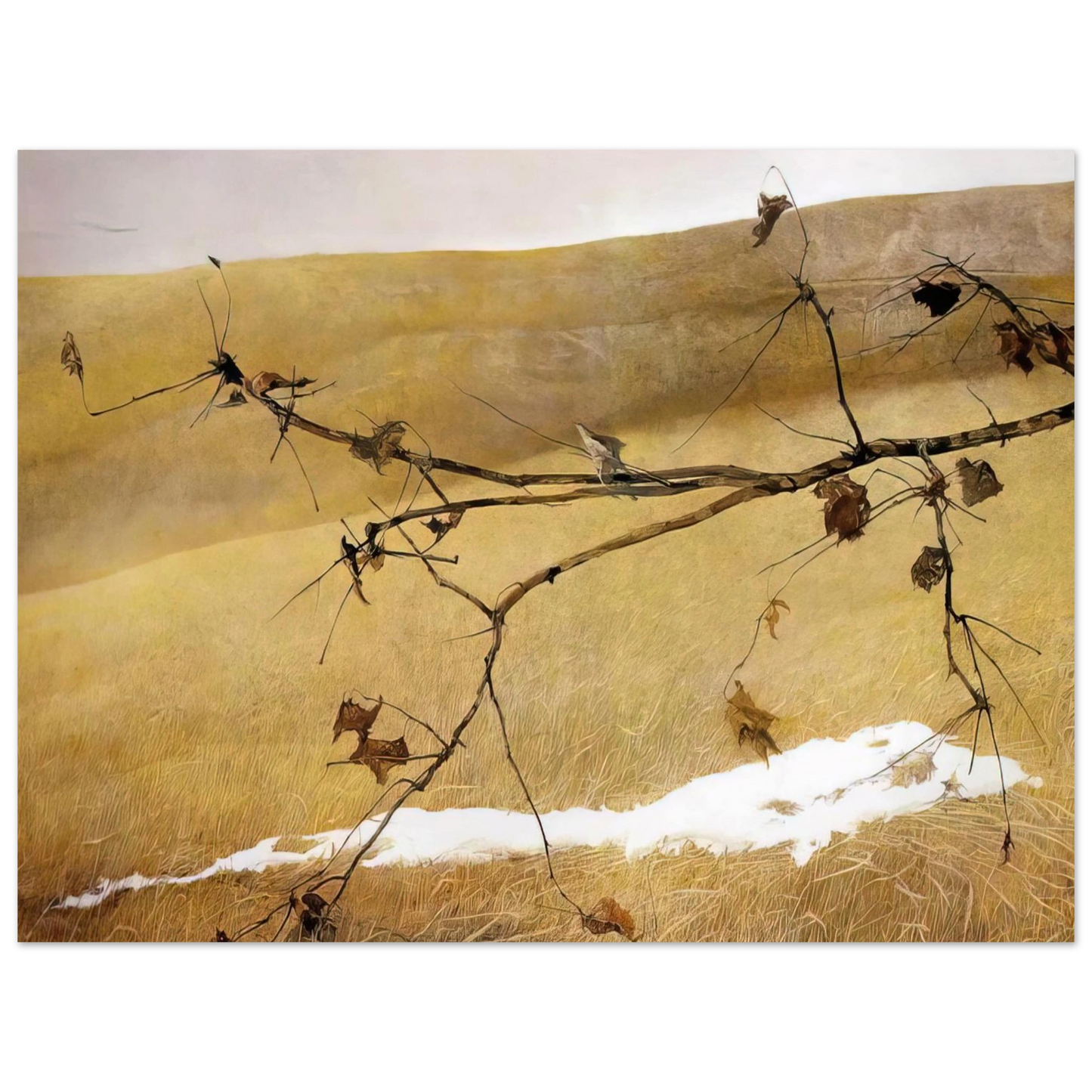 Andrew Wyeth - LONG LIMB Wall Art - 21x29.7 cm / 8x12" - Fine Art Poster - -