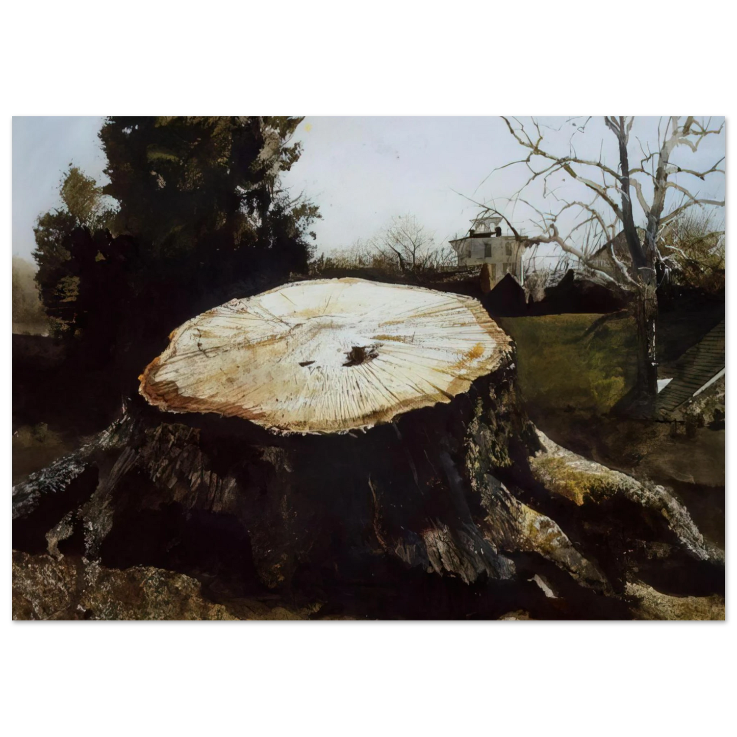 Andrew Wyeth - THE BIG OAK Wall Art - 30x40 cm / 12x16 inches - Premium Wooden Framed Poster With Fine Art Paper-canvas - White frame