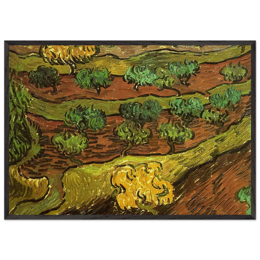 Olive Trees against a Slope of a Hill - Vincent van Gogh 70x100 cm / 28x40 inches Framed Art Print – Black Wooden Frame
