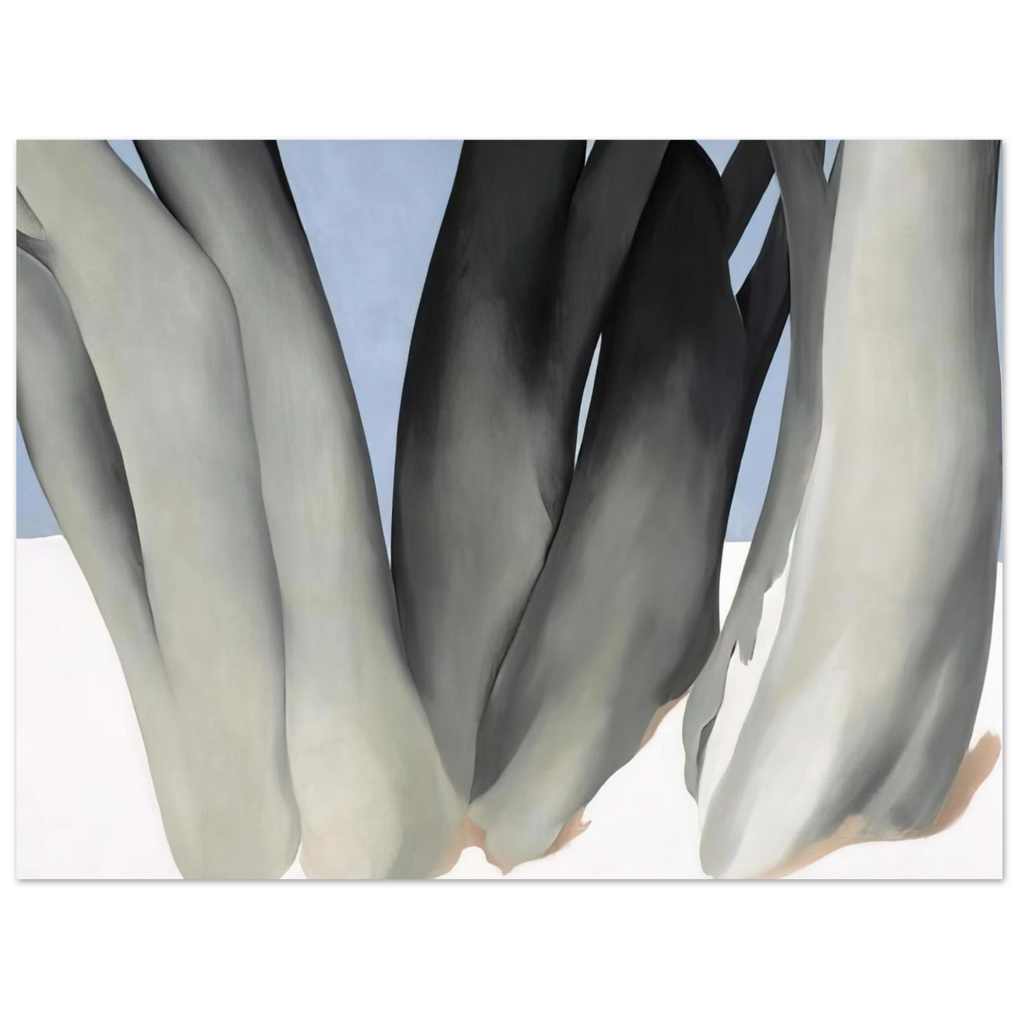 Georgia O'Keeffe - Bare Tree Trunks with Snow Fine Art Poster