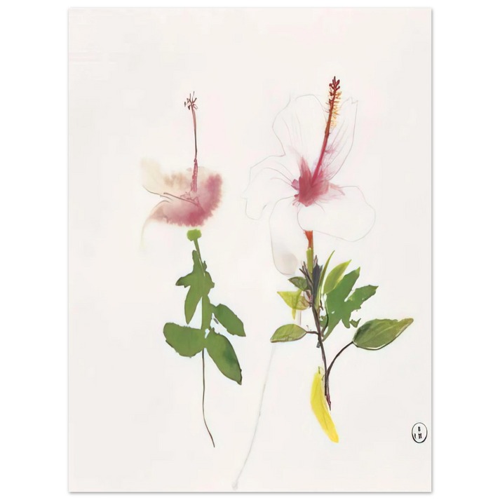 Brett Whiteley - Hibiscus - 1987  75x100 cm / 30x40inches Fine Art Poster