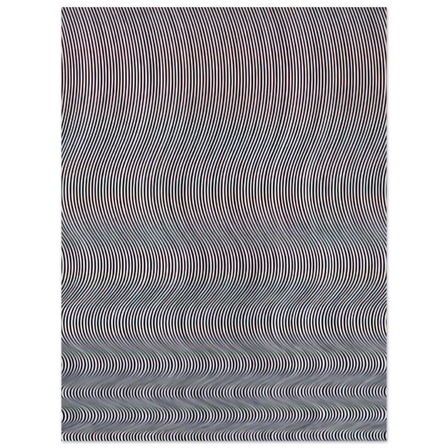 Bridget Riley - FALL 1963  75x100 cm / 30x40inches Fine Art Poster