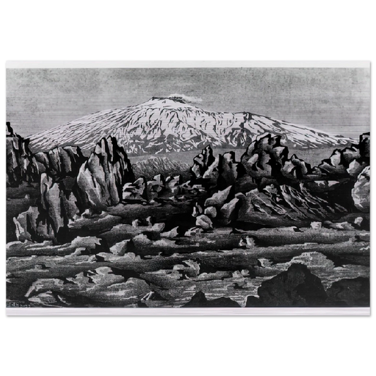ESCHER (15) - MC Escher Brushed Aluminum Print - 70x100 cm / 28x40 inches | MC Escher Aluminum Print | MC Escher Prints