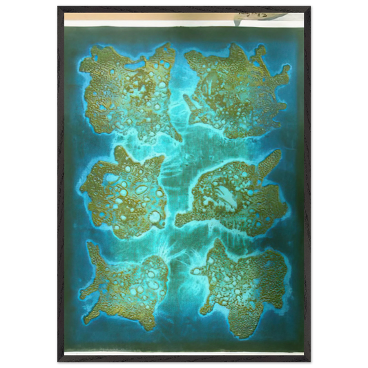 Dried Flowers - 1964 - Hiroyuki Tajima 70x100 cm / 28x40 inches Framed Art Print – Black Wooden Frame