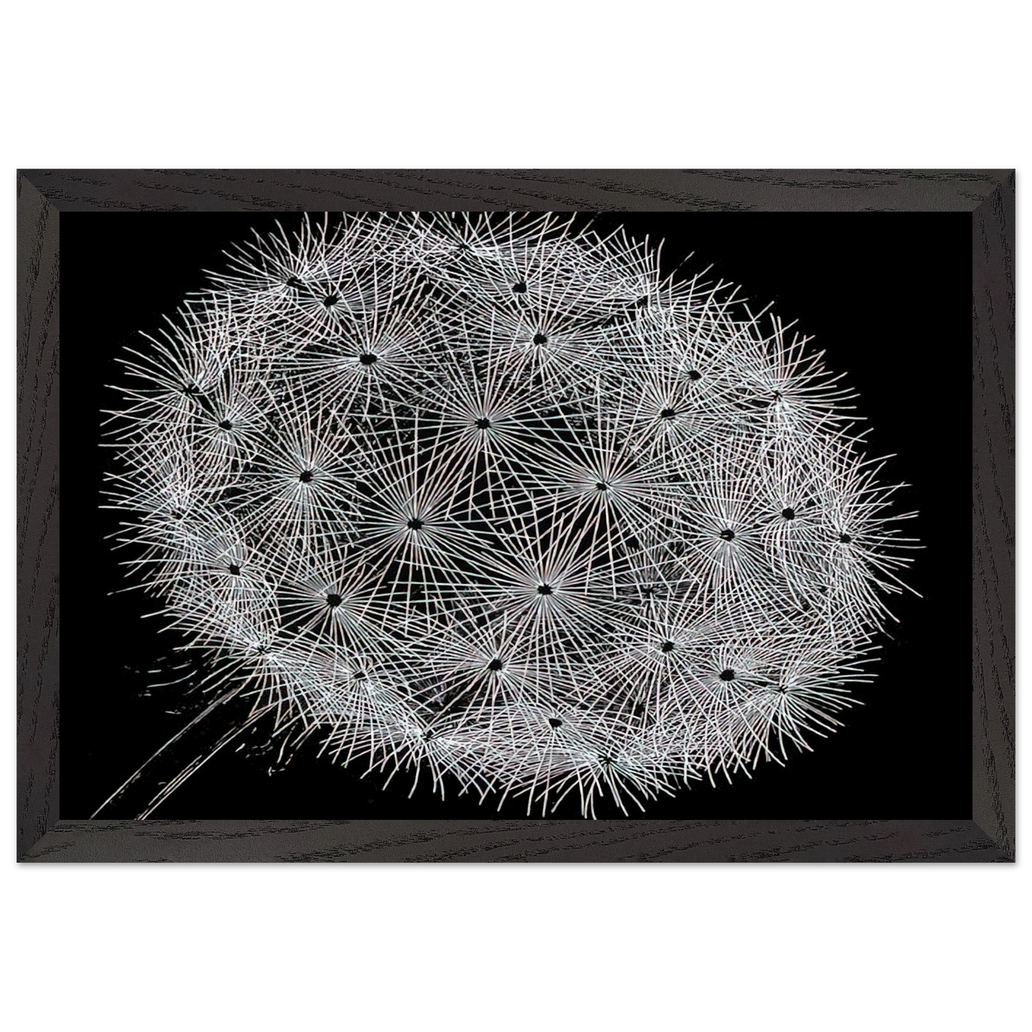 MC Escher - BLOWBALL II Wall Art - 30x40 cm / 12x16 inches - Fine Art Poster-canvas - -