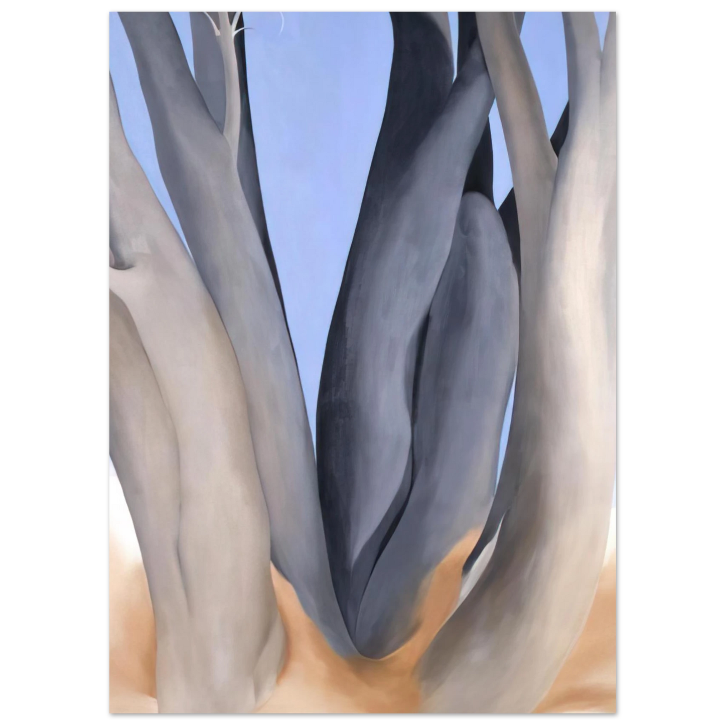 Georgia O'Keeffe - Dark Tree Trunks Fine Art Poster